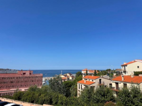Charmant studio à 150 m du club de plongée, terrasse et parking à Banyuls-sur-Mer - FR-1-309-87